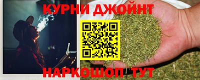 гашик Кимры