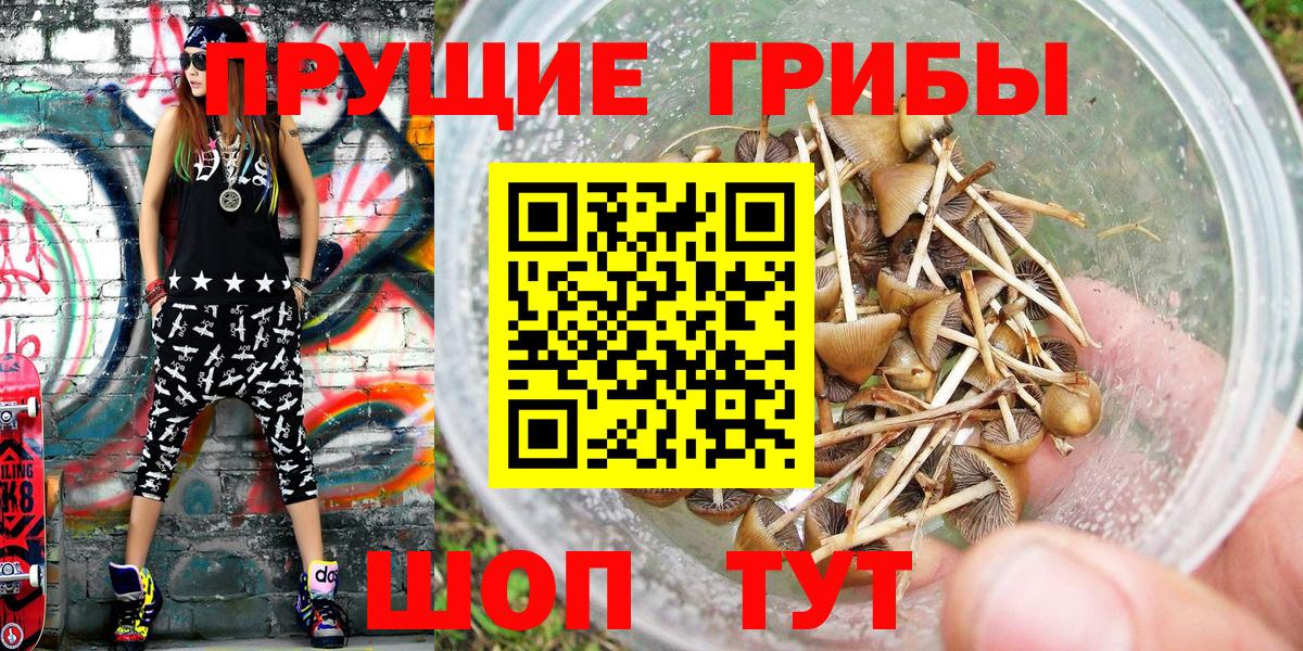 Кировск  ГАШИШ  МАРИХУАНА  APVP СК   Вход с VPN  COCAIN  Мефедрон  