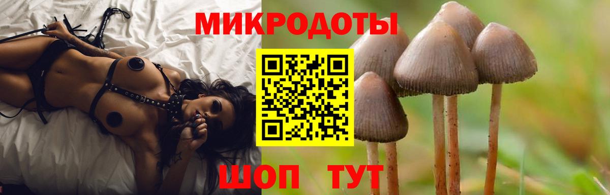 Псилоцибиновые грибы GOLDEN TEACHER Кировск